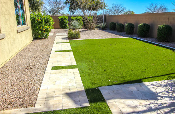 istock Back Yard Landscaping With Grass, Bushes And Cactus 1465367343