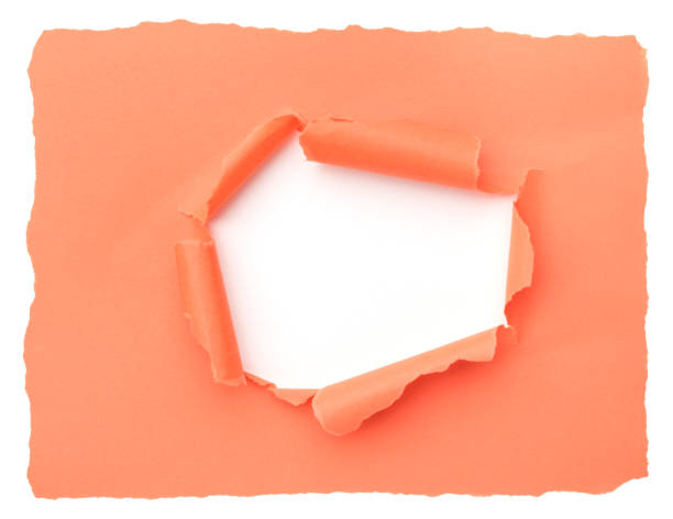 istock Paper peel, torn paper with space a white background for text showing. Empty space for your message. space for advertising copy 1465367393