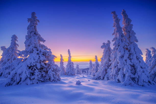 istock Amazing frosty morning 1465374548