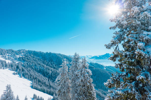 istock Austrian alps in Muehlbach, Austria 1465376948
