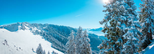 istock Austrian alps in Muehlbach, Austria 1465377156