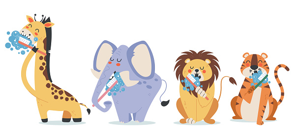 Animal wash clean teeth cute isolated characters. Dental toothbrush healthy concept. Vector graphic design