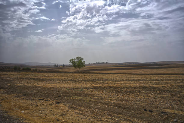 Road trip in Morocco