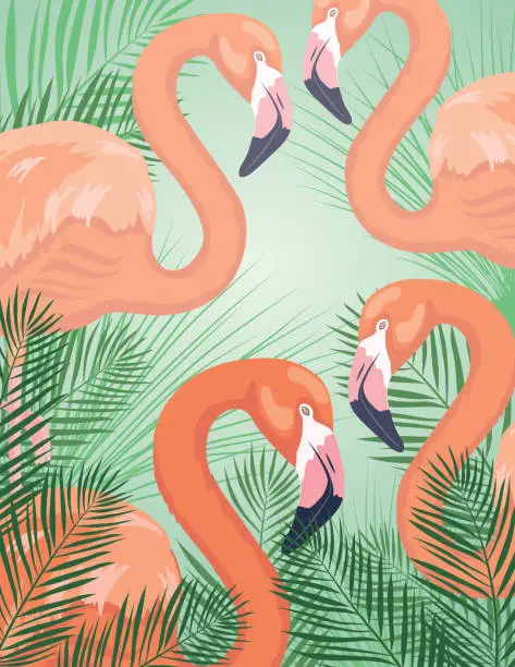 Vector illustration of Standing Flamingos on a Green Background With Plants