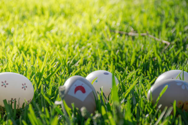 Easter eggs decorated among the grass for your search. Tradition.