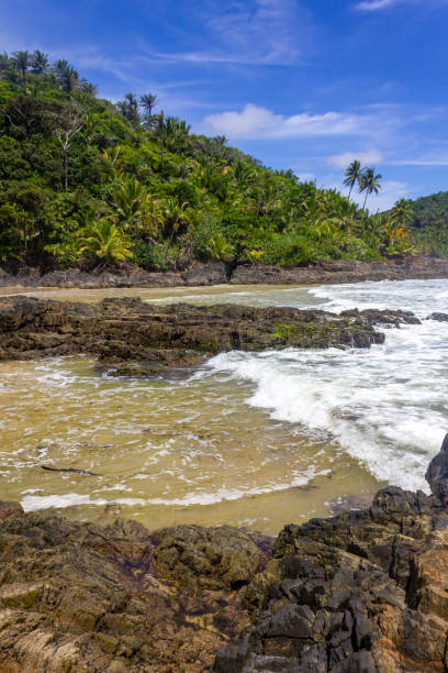 istock Rocks and forest at Camboinha beach 1465391991