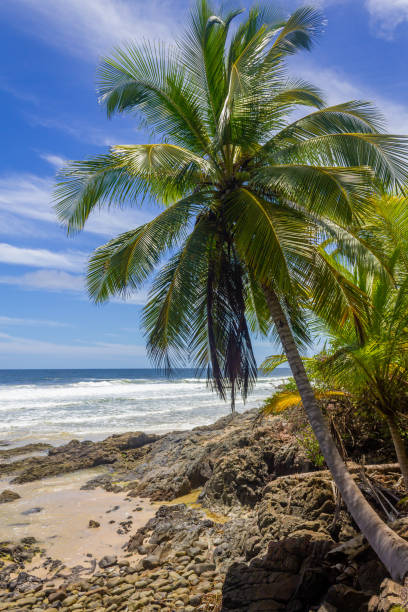 istock Sand, waves and rocks at Havaizinho beach 1465392906