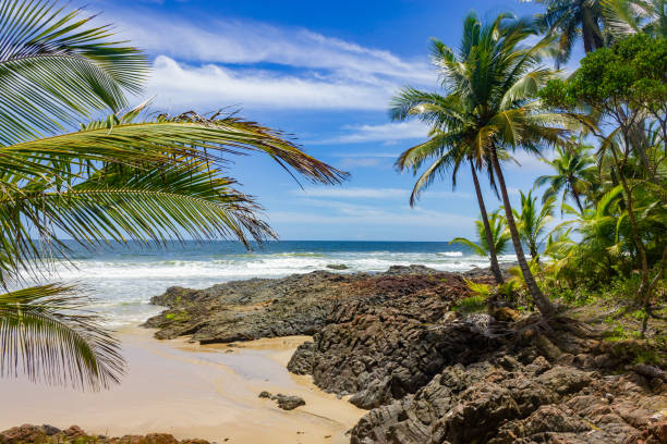 istock Sand, waves and rocks at Havaizinho beach 1465393068