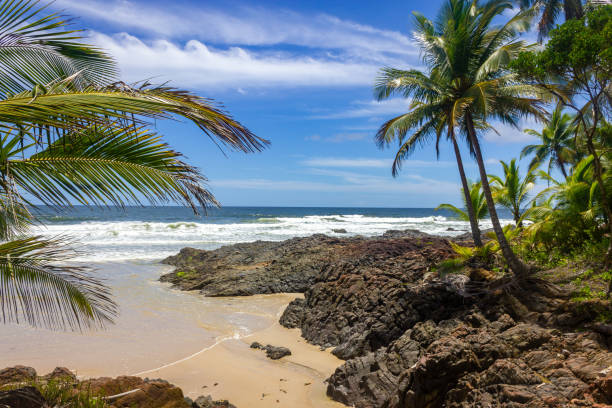 istock Sand, waves and rocks at Havaizinho beach 1465393593