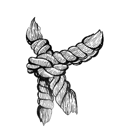 Inking Rope Draw Ink Rope Knot Hand Drawing Isolated On White Background Stock ...