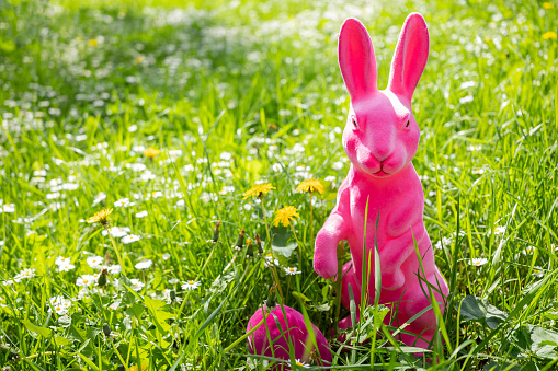 A pink rabbit and an egg in the middle of a meadow. Easter concept.