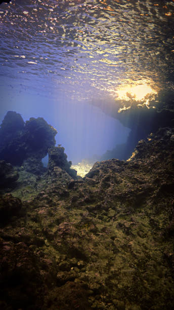istock Underwater cave diving in rays of light 1465412659