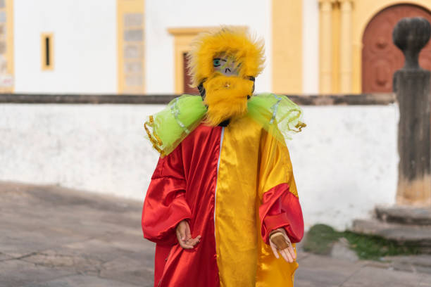 Brazil Carnival, Frevo Umbrella, Frevo, People, Papangu