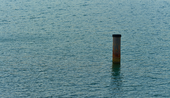 Wooden poles with rope in the water of a bay in the Baltic Sea