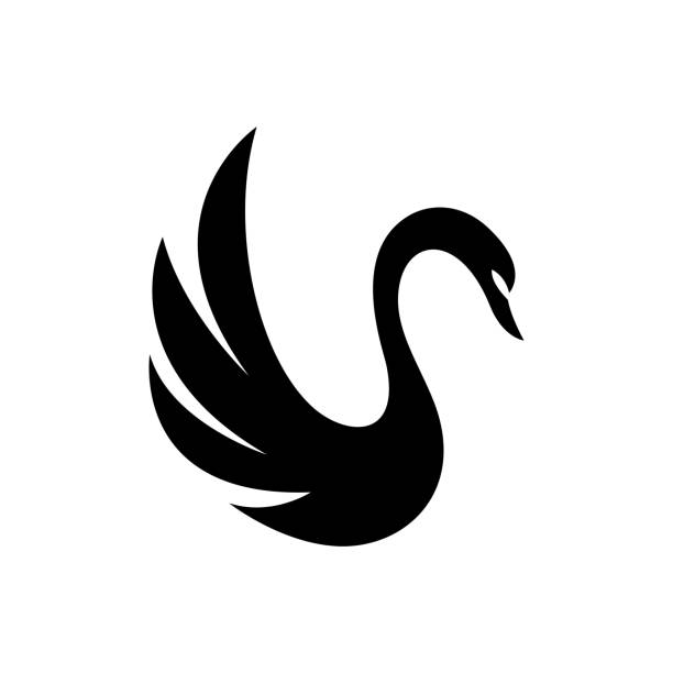 schwan-logo-bilder-illustration - swan stock-grafiken, -clipart, -cartoons und -symbole