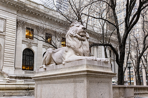 Статуя льва у входа в центральную публичную библиотеку Нью Йорка