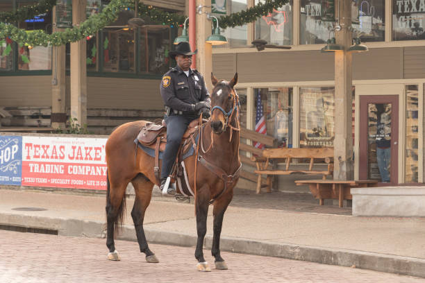 Fort Worth, Texas, USA-December 10, 2015: An African American mounted horseback policeman is on patrol in Fort Worth, Texas.