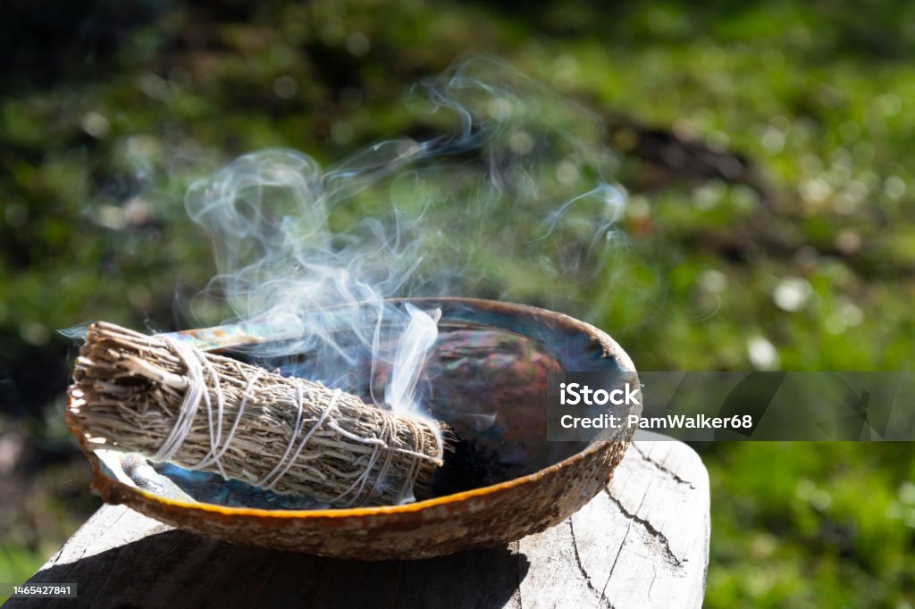 Smoldering White Sage Smudge Stick An image of a single white sage smudge stick smoldering in an abalone shell. Sage Stock Photo