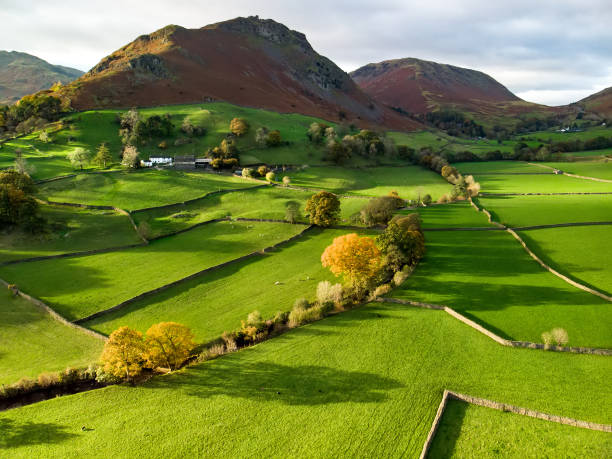 Aerial view of endless lush pastures and farmlands of England. Beautiful English countryside with emerald green fields and meadows. Aerial view of endless lush pastures and farmlands of England. Beautiful English countryside with emerald green fields and meadows. Rural landscape on sunset. grasmere stock pictures, royalty-free photos & images