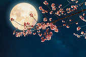 full moon with flower