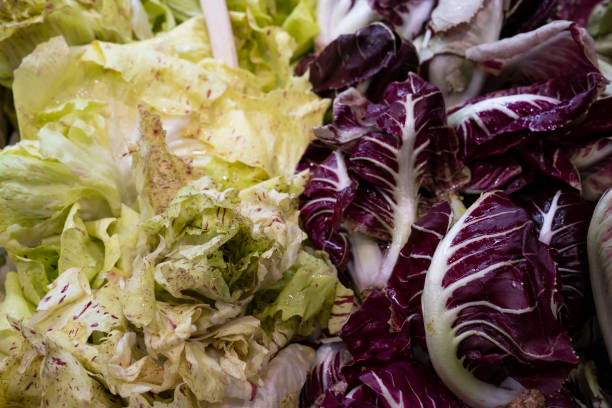 Heads of different Italian chicory - red radicchio, broad-leaved endive and curly endive in vegetable plastic container for sale on a vegetable market