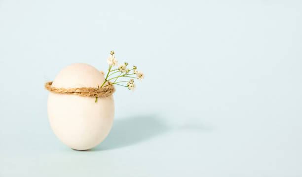 istock Single white chicken egg with improvised wreath on pastel  blue background as a Easter holiday concept, copy space 1465464790