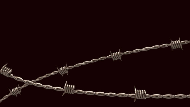 istock The  barbed wire on black background  for security or military concept 3d rendering 1465466943