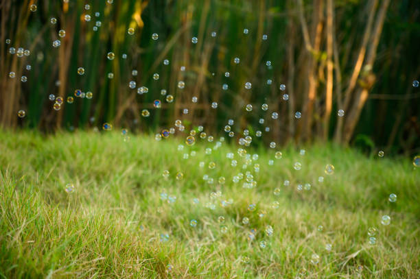 rainbow soap bubbles from the bubble blower flying on green grass. spring or summer season background. symbol of childhood