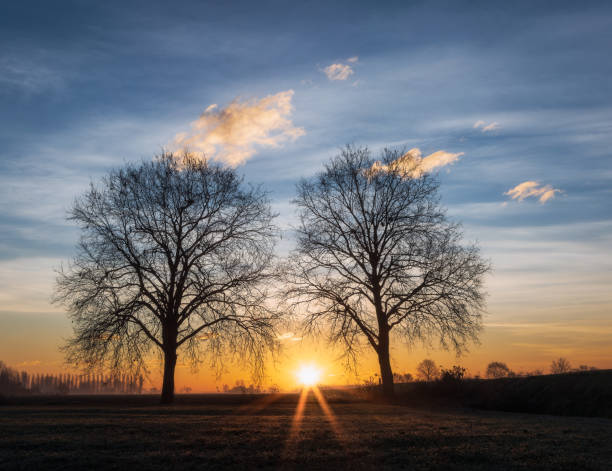 istock The first rays of sunshine 1465468046