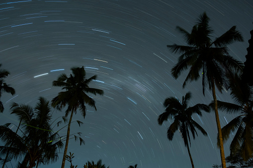 Dark night with startrail in the sky as background and coconut tree silhoutte as foreground in Bali Island