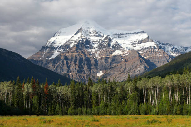istock View of mount Robson 1465470779