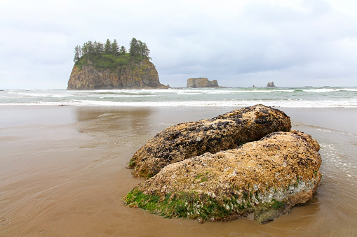 Scenic view of La Push Beach at Olympic National Park, Washington, USA.