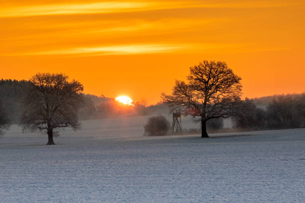 istock Sunrise on a field in winter 1465476415