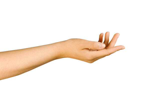 istock Beautiful elegant gesture of a woman's hand isolated on a white background. 1465476505