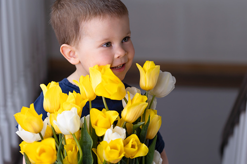A little boy with a huge bouquet of yellow and white tulips smiles. A child brings a gift to his mother or grandmother to congratulate him on Mother's Day, March 8, birthday. Portrait of a child with a bouquet of flowers