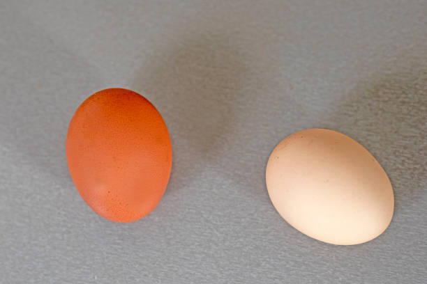 Stock photo showing close-up view of batch of mixed white and brown coloured eggs on a green background.