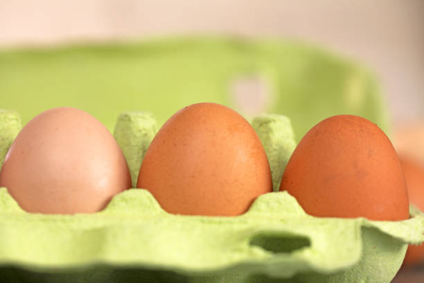 close-up of three plain fresh light brown and brown eggs in a container. Economic crisis