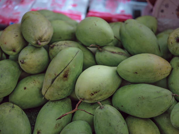 istock Green mangoes on  Thai market . 1465482184
