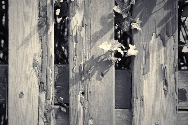 istock Wooden surface of planks and grain textures 1465483688