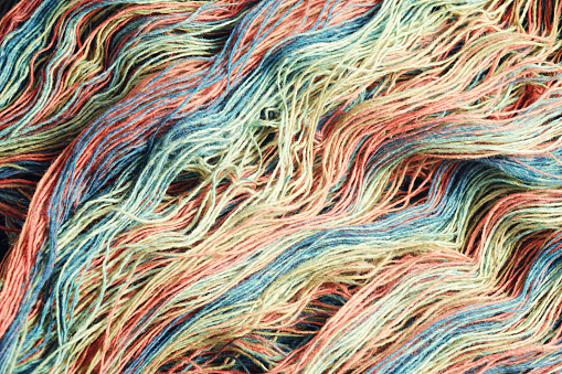 Threads from natural organic sheep wool. Unwound skein of multicolor rainbow knitting yarn.