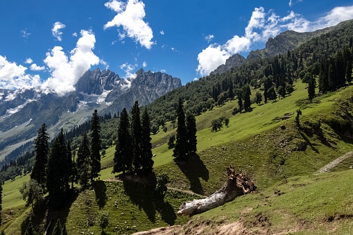 A beautiful shot of rural mountain scenery in Sonamarg Hill Trek in Jammu and Kashmir, India