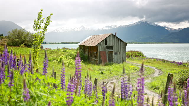 Old hut on shore of Lake General Carrera, Patagonia - Chile