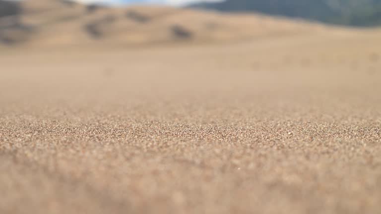 Close Up Grains of Sand Blowing in the Wind in the Middle of Desert in 4K