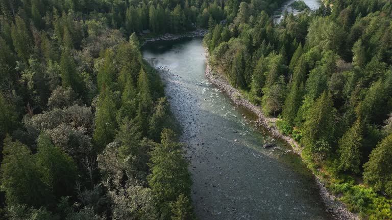 Overhead aerial view of the Skykomish River passing through Baring, Washington.