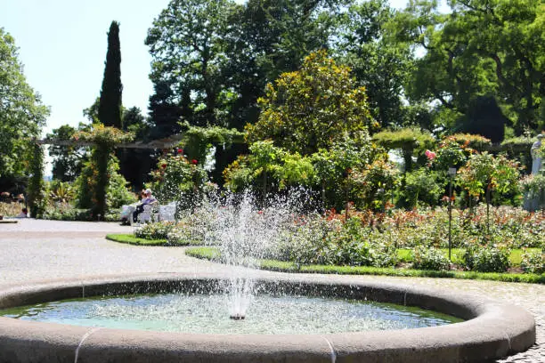 A closeup of a fountain with splashing water in a well-kept garden in Mainau Island, Germany