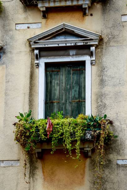 istock Nice old window with flower pot in Venice, Italy 1465488475