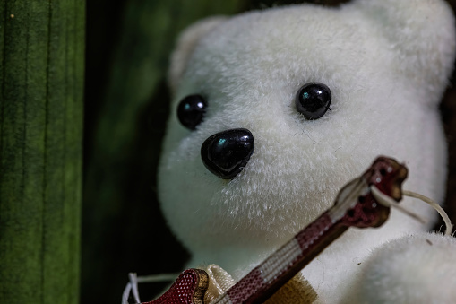 A closeup of bear stuffed toy with a miniature guitar hanging on its neck