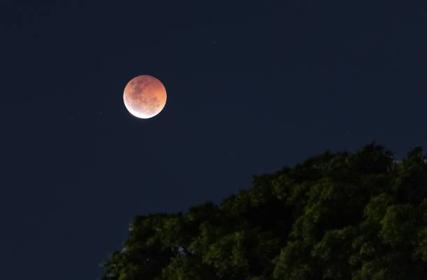istock Beautiful view of the moon 1465489222