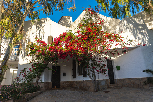 Preciosa casa con flores en San José en la localidad de Níjar, Almería photo