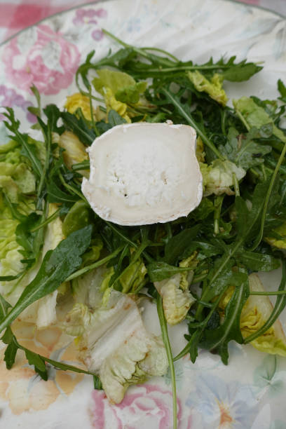 Green salad with lettuce and arugula served with goat cheese